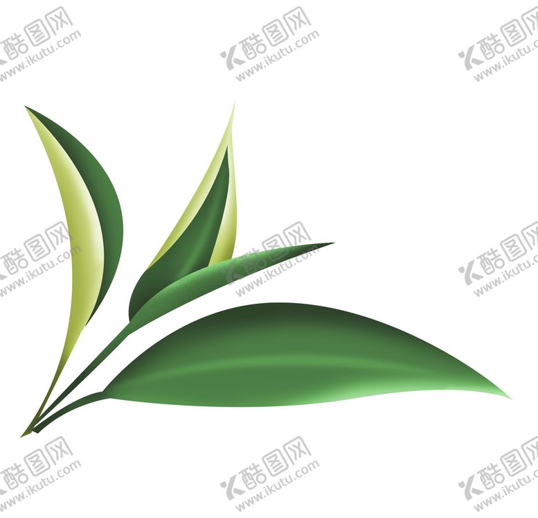 编号：28910709221123467268【酷图网】源文件下载-茶叶嫩芽