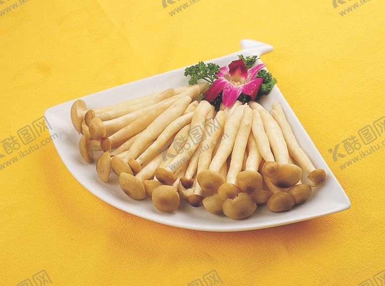 编号：97916510200950009147【酷图网】源文件下载-家常菜美食