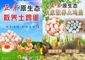 原生态土蛋