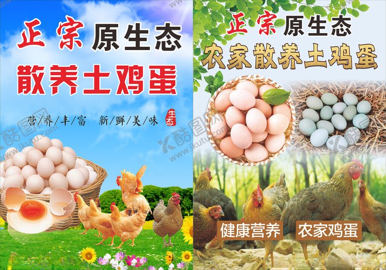 编号：69663111021422075740【酷图网】源文件下载-原生态土蛋