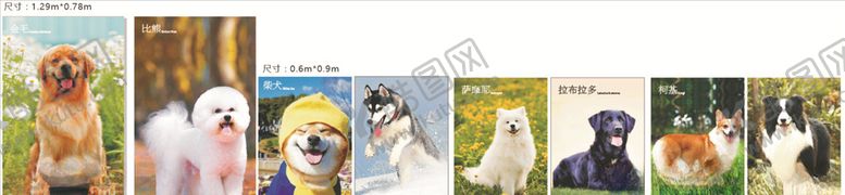 编号：61232907050516326059【酷图网】源文件下载-狗狗海报