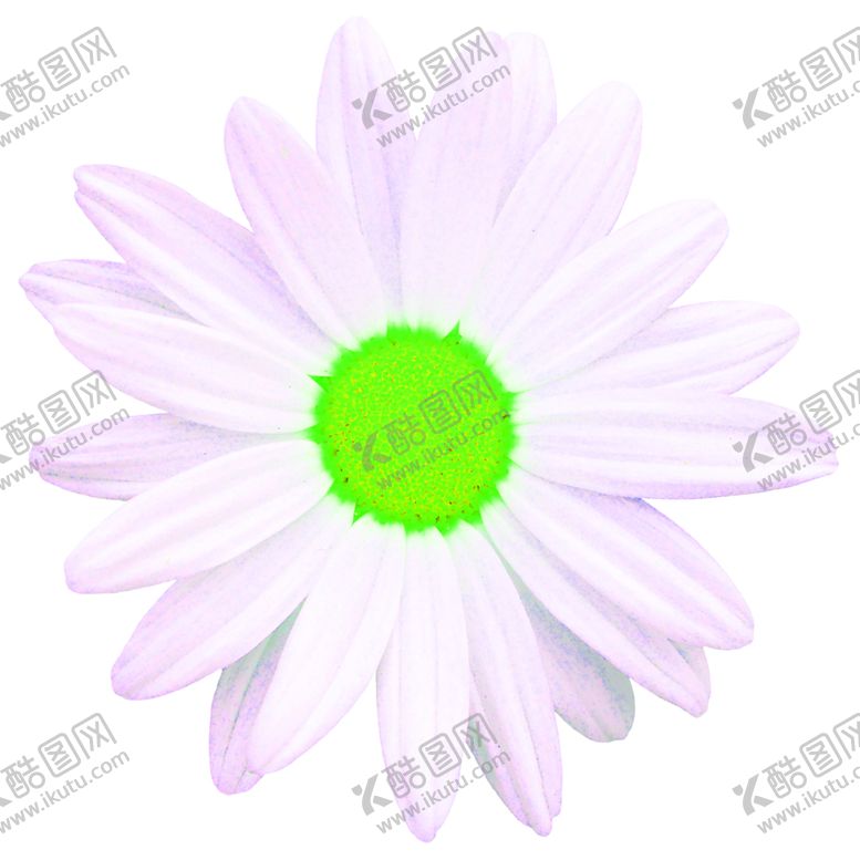 编号：36887210300413481560【酷图网】源文件下载-花素材