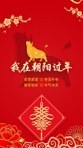 牛年过大年春节新年