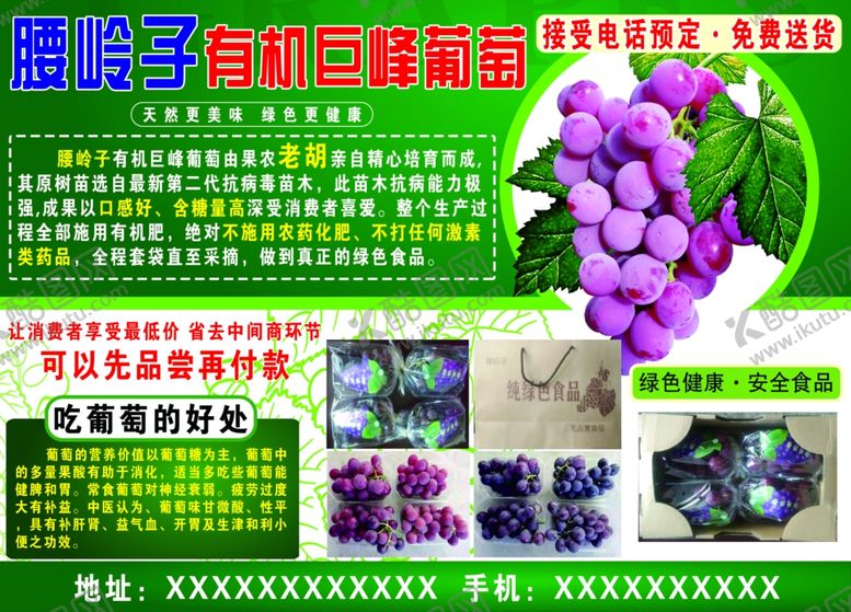 编号：44564510110929385161【酷图网】源文件下载-吃葡萄好处