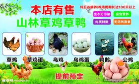 山林散养草鸡草鸭售卖