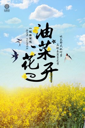 油菜花