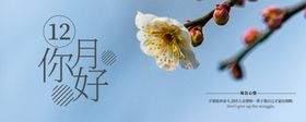 你好12月
