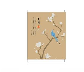 玉兰花