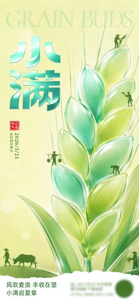 小满绿色稻谷宣传海报