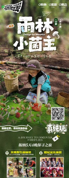 雨林小菌主