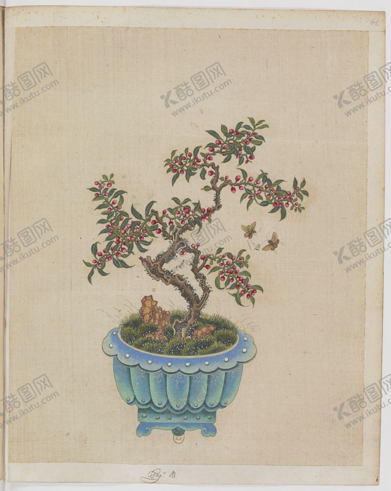 编号：55534906280950229858【酷图网】源文件下载-盆景花鸟