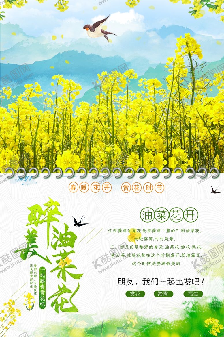 编号：75920406250218246516【酷图网】源文件下载-油菜花