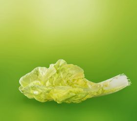 影楼摄影