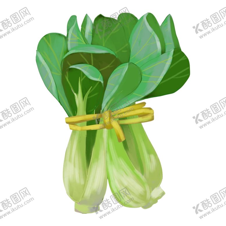 编号：37074106250950131961【酷图网】源文件下载-油菜
