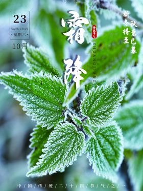 霜降节气广告设计问侯