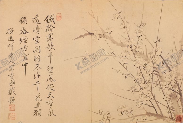 编号：61112010302350244464【酷图网】源文件下载-清代恽寿平花草绘画