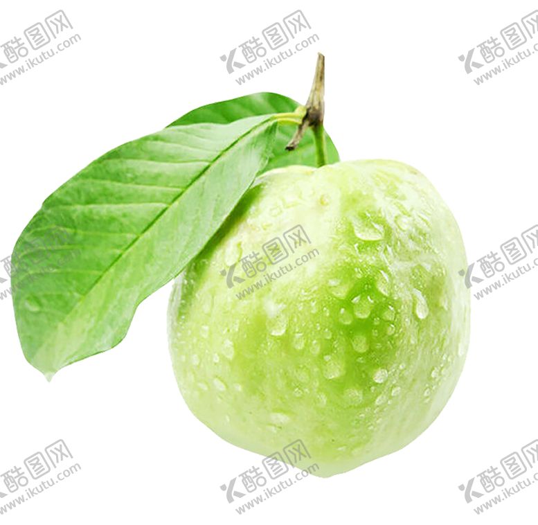 编号：82777507020924126121【酷图网】源文件下载-水果