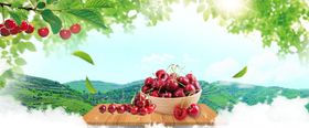 车厘子樱桃轮播图展板背景