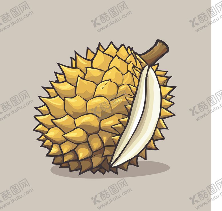 编号：73322402040304381357【酷图网】源文件下载-榴莲热带水果手绘矢量插画