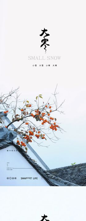 大寒24节气风景山峰海报