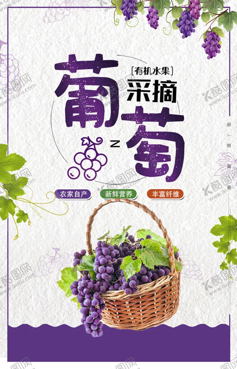 编号：86792309140418121356【酷图网】源文件下载-葡萄采摘