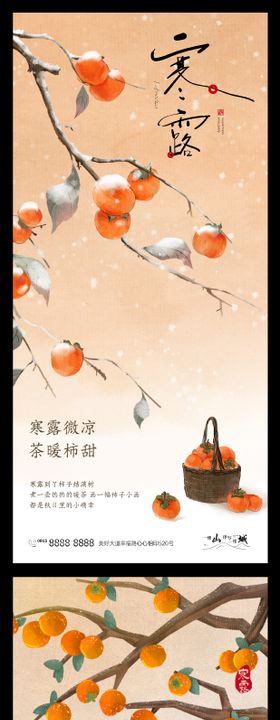 白露节日海报