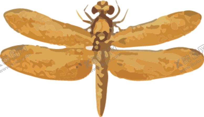 编号：16214310300940342881【酷图网】源文件下载-蜻蜓昆虫插画