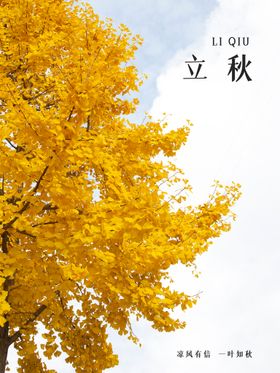 立秋落叶单页初