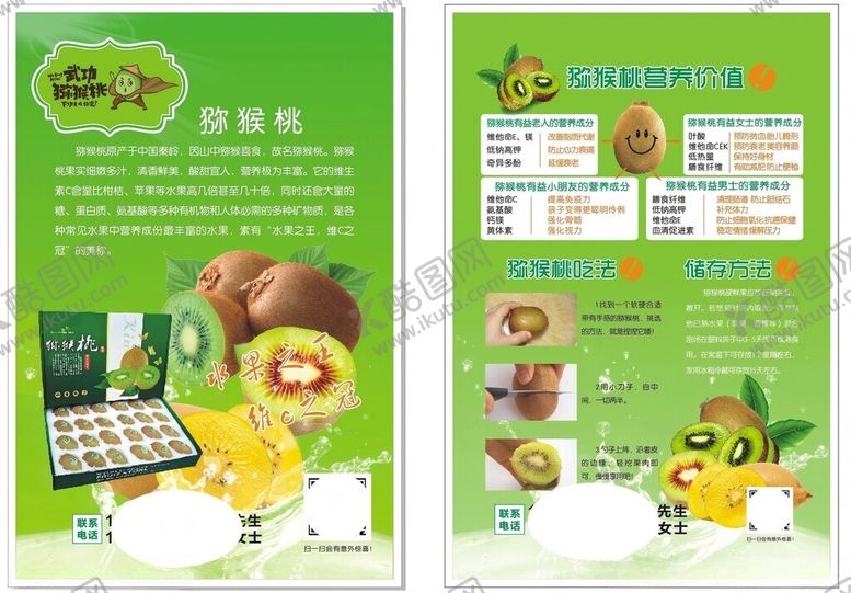 编号：88792310280224268711【酷图网】源文件下载-武功猕猴桃彩页
