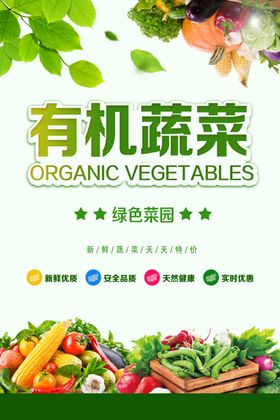 有机蔬菜