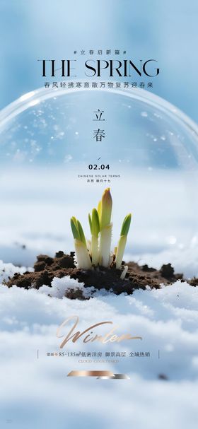 立春质感节气海报