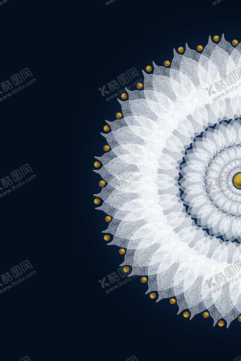 编号：22997106170521339449【酷图网】源文件下载-白色花朵装饰画