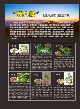 药品简介