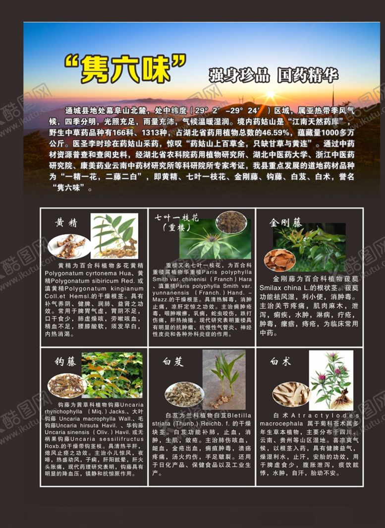 编号：37916810181712535106【酷图网】源文件下载-药品简介