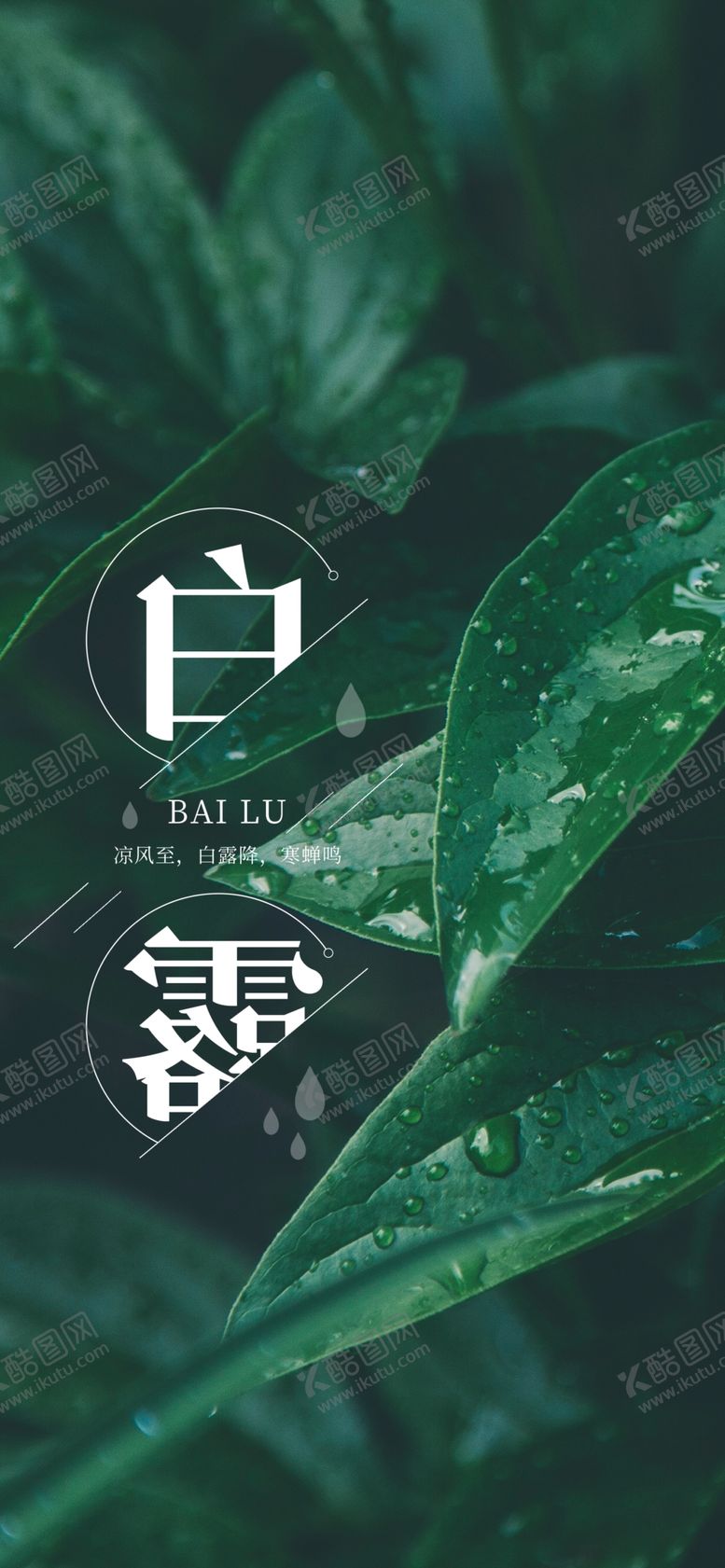 编号：29608009221815597914【酷图网】源文件下载-白露海报