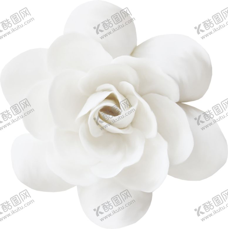 编号：10508809230454139859【酷图网】源文件下载-鲜花素材