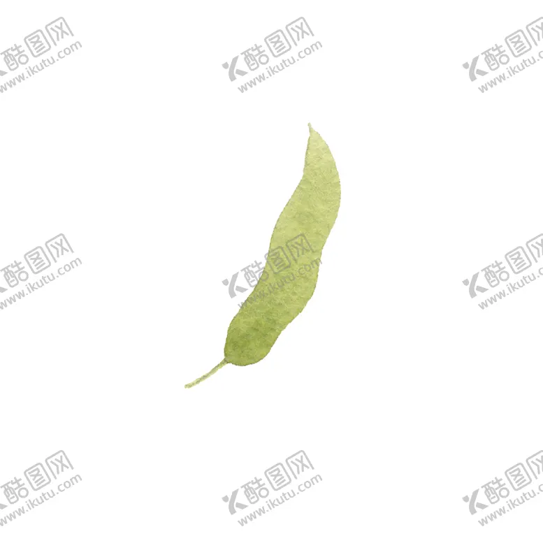 编号：46951412180726524536【酷图网】源文件下载-水彩树叶树枝