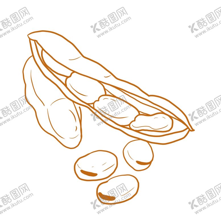 编号：28535609190040548713【酷图网】源文件下载-蚕豆