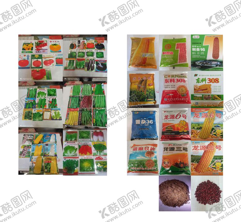 编号：58710110201619204225【酷图网】源文件下载-蔬菜粮食种子