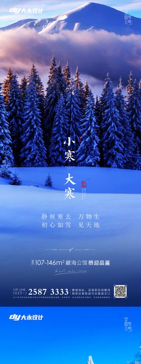 大寒小寒小雪大雪系列海报