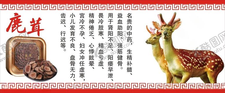 编号：64106802272311444521【酷图网】源文件下载-鹿茸
