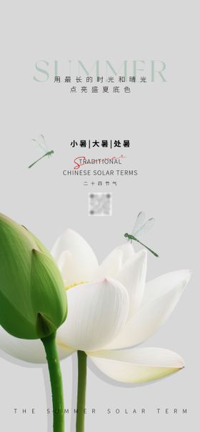 夏至小暑大暑极简海报