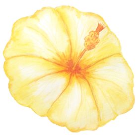 彩绘水彩花