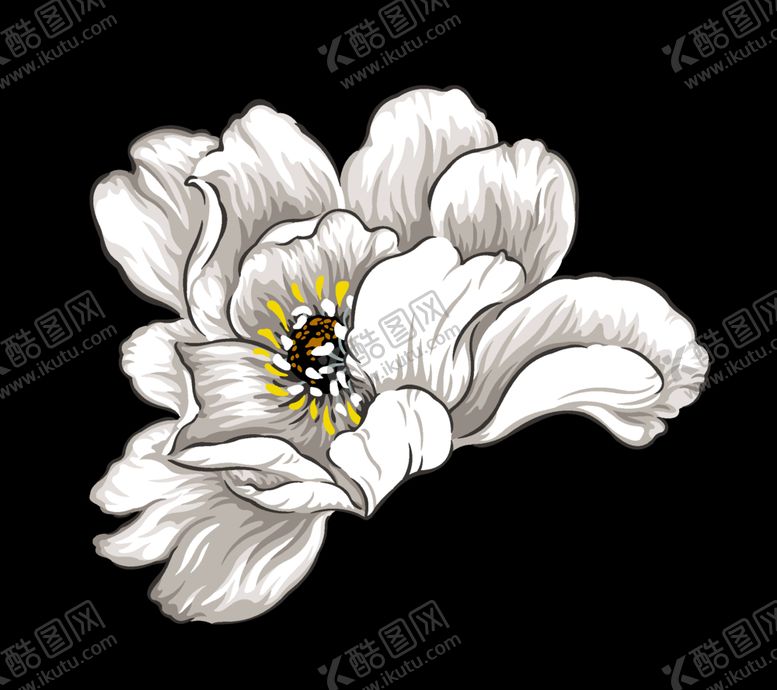 编号：55300106290649172813【酷图网】源文件下载-手绘花卉