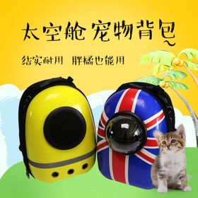 宠物碗淘宝主图设计模板