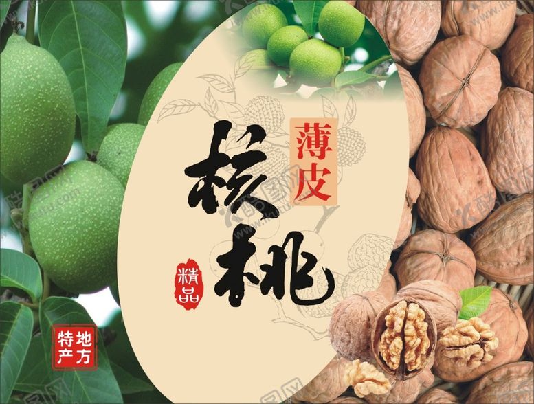编号：70856301260847186700【酷图网】源文件下载-核桃包装 平面图