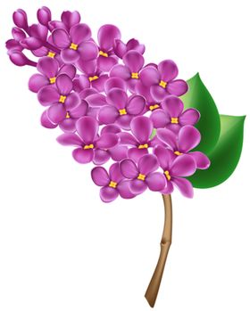 丁香花