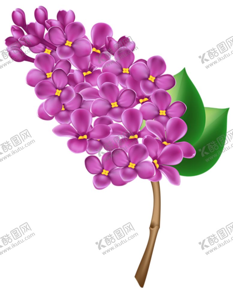 编号：36454905122158123496【酷图网】源文件下载-丁香花