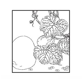 葫芦