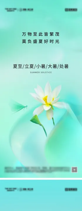 夏至立夏小暑大暑节气海报蜻蜓荷花天